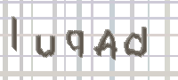 CAPTCHA Bild zum Spamschutz 