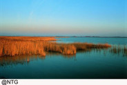 Nationalpark Neusiedlersee